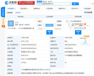 洪鋒卸任廣州小米信息服務法人等職位，信息技術咨詢服務業務調整引關注